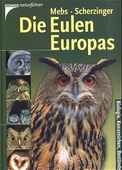 Die Eulen Europas