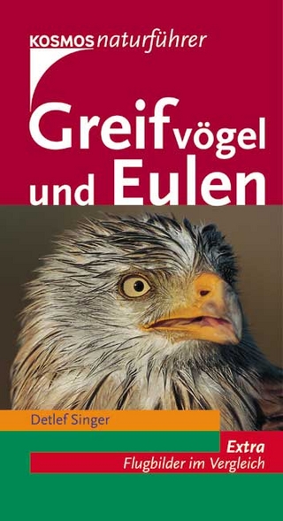 Greifvögel und Eulen