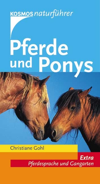 Pferde und Ponys