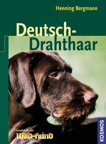 Deutsch-Drahthaar - Henning Bergmann