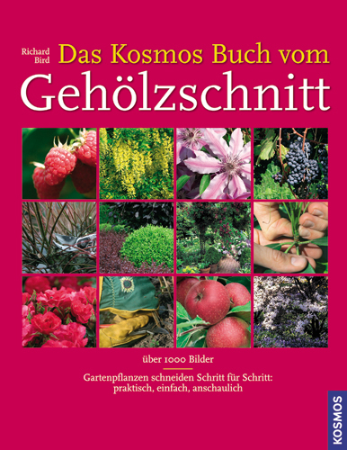 Das Kosmos Buch vom Geh&ouml;lzschnitt - Richard Bird