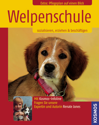 Welpenschule