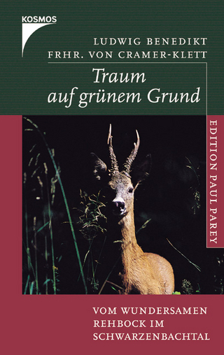 Traum auf grünem Grund
