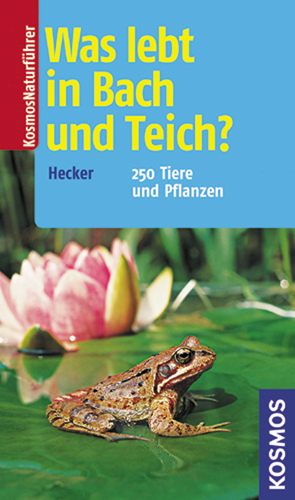 Was lebt in Bach und Teich? - Frank Hecker, Katrin Hecker