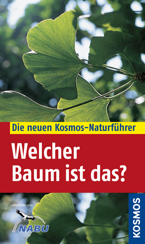 Welcher Baum ist das?