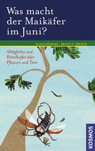 Was macht der Maikäfer im Juni?