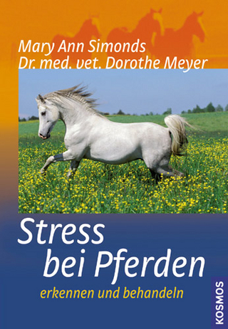 Stress bei Pferden