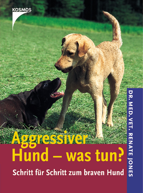 Aggressiver Hund - was tun?