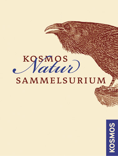 Kosmos Natur-Sammelsurium - B&auml;rbel Oftring