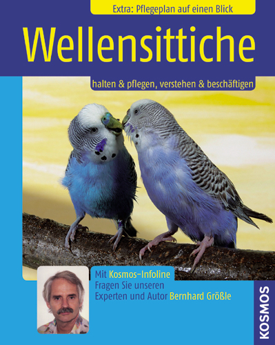 Wellensittiche - Bernhard Gr&ouml;&szlig;le