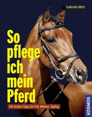 So pflege ich mein Pferd