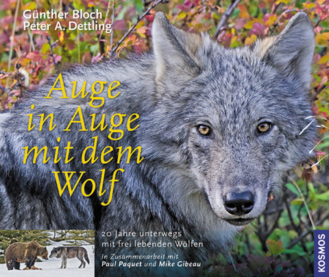 Auge in Auge mit dem Wolf - G&uuml;nther Bloch, Peter A Dettling