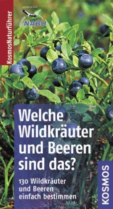 Welche Wildkräuter und Beeren sind das?