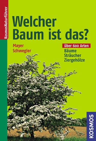 Welcher Baum ist das?