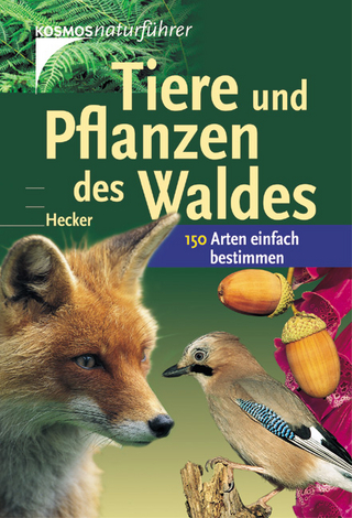 Tiere und Pflanzen des Waldes