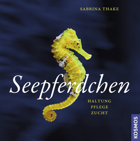 Seepferdchen - Sabrina Thake
