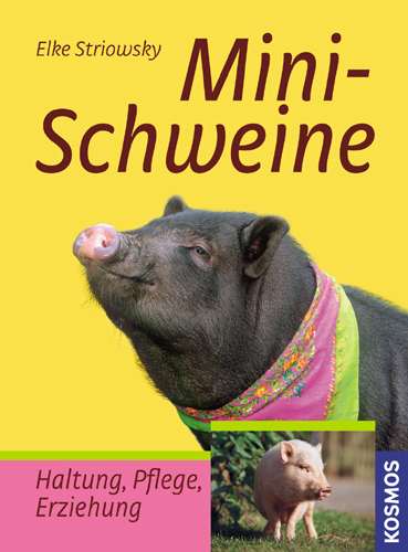 Minischweine - Elke Striowsky