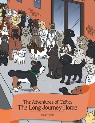 The Adventures of Celtic - Todd Hveem