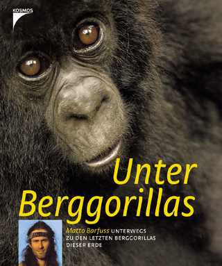 Unter Berggorillas