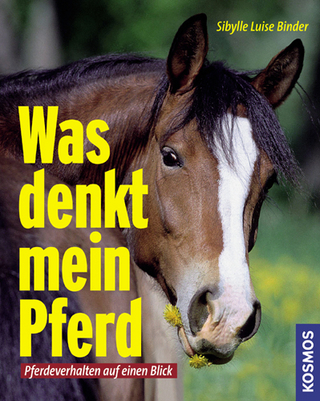 Was denkt mein Pferd
