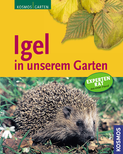 Igel in unserem Garten - Monika Neumeier