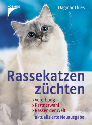 Rassekatzen züchten