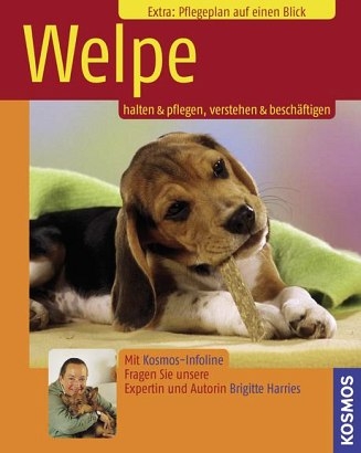 Welpe - Brigitte Harries