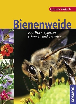 Bienenweide - G&uuml;nter Pritsch