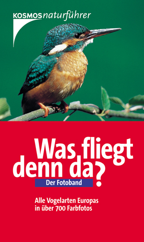 Was fliegt denn da? - Detlef Singer