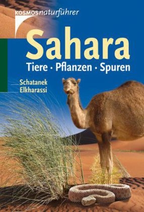 Sahara