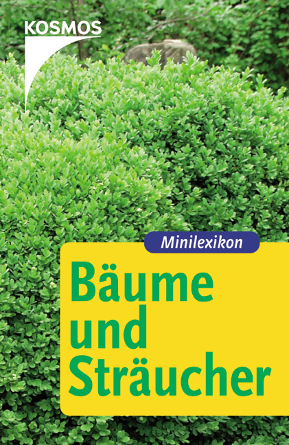 Bäume und Sträucher
