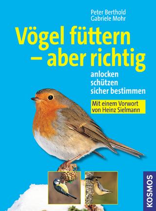 Vögel füttern - aber richtig