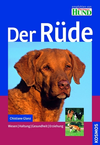 Der Rüde