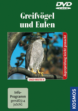 Greifvögel und Eulen