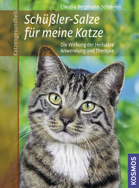 Sch&uuml;ssler Salze f&uuml;r meine Katze - Claudia Bergmann-Scholvien