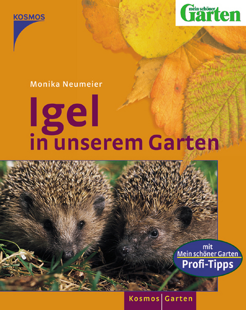 Igel in unserem Garten - Monika Neumeier