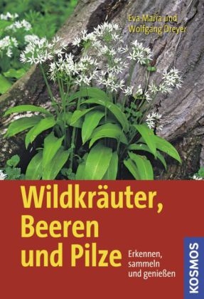 Wildkräuter, Beeren und Pilze