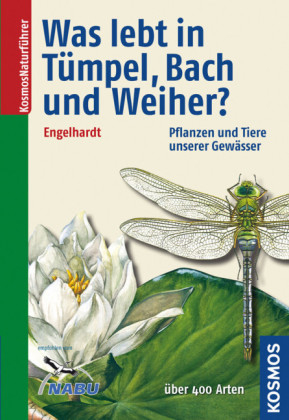 Was lebt in T&uuml;mpel, Bach und Weiher? - Wolfgang Engelhardt, Peter Martin, J&ouml;rg Pfadenhauer, Klaus Rehfeld
