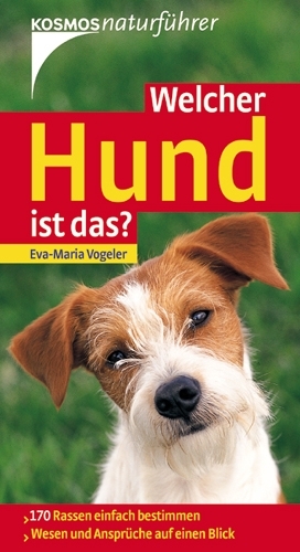 Welcher Hund ist das?