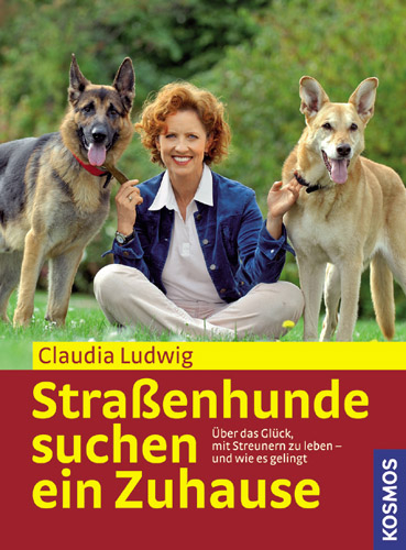 Stra&szlig;enhunde suchen ein Zuhause - Claudia Ludwig