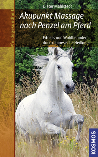 Akupunkt Massage nach Penzel am Pferd