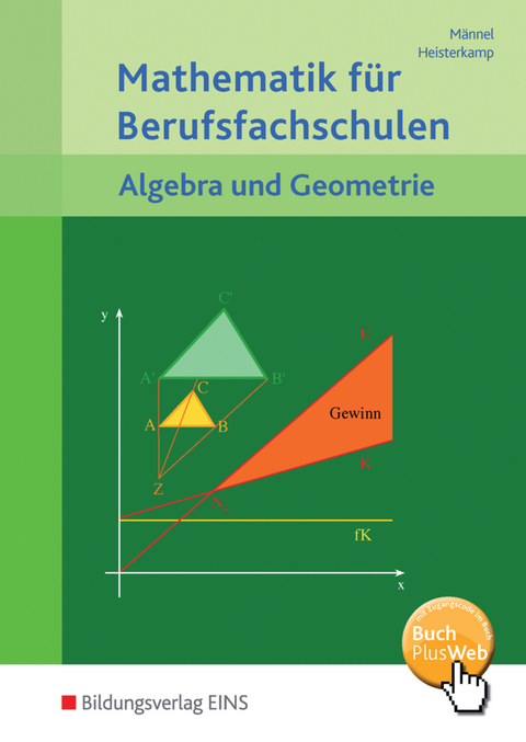 Mathematik f&uuml;r Berufsfachschulen - Rolf M&auml;nnel, Markus Heisterkamp