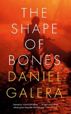 Shape of Bones
