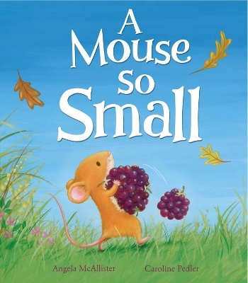 A Mouse So Small - Angela McAllister