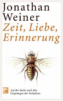 Zeit, Liebe, Erinnerung