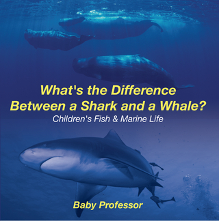 What's the Difference Between a Shark and a Whale? | Children's Fish & Marine Life