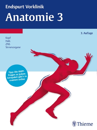 Endspurt Vorklinik: Anatomie 3