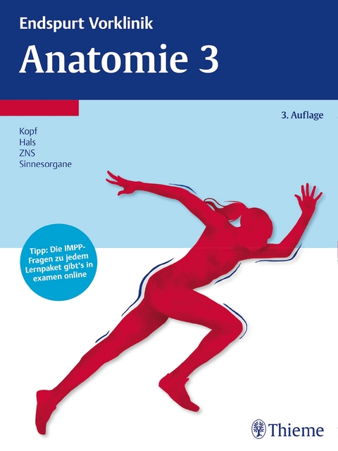 Endspurt Vorklinik: Anatomie 3