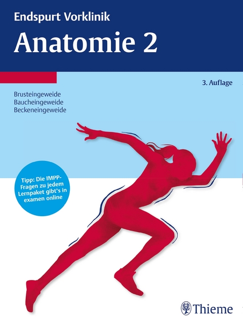 Endspurt Vorklinik: Anatomie 2