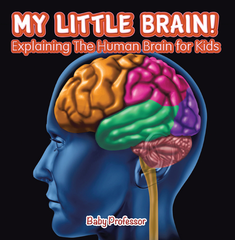 My Little Brain! - Explaining The Human Brain for Kids - Baby Professor